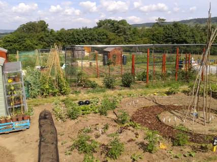 UPL_Allotment5